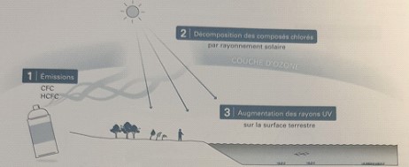 RE2020 restriction gaz fluoré