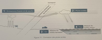 pluies acides formation