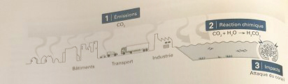 Phénomène d'acidification des océans